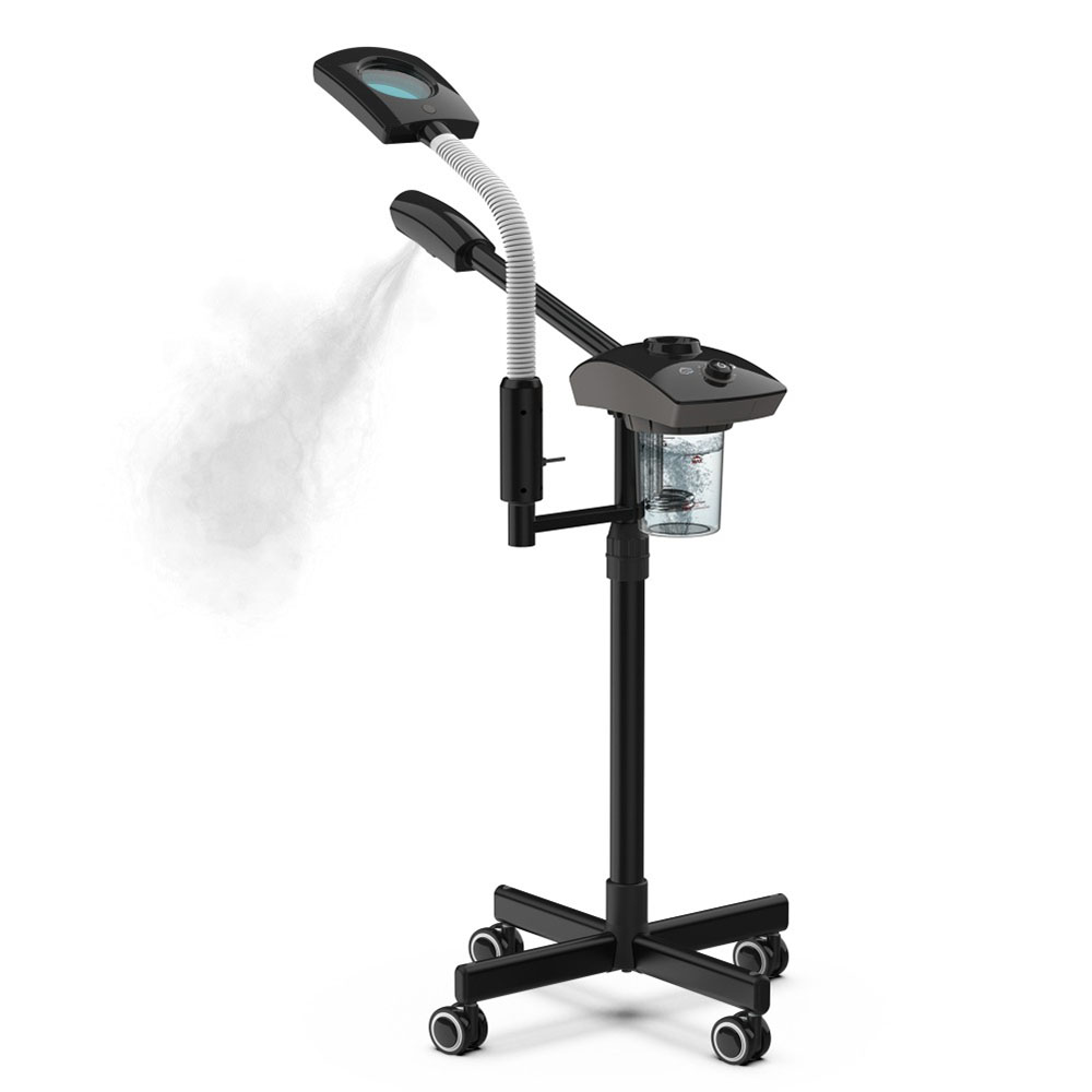 Hot Facial Steamer Warm Mist H - Face Steamer recension och pris